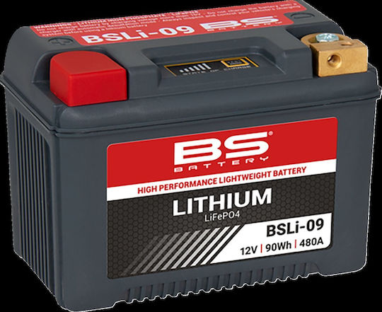 Lifepo4 Lithium-Ion Batterie Ladeanzeige Bsli-09 12,8V