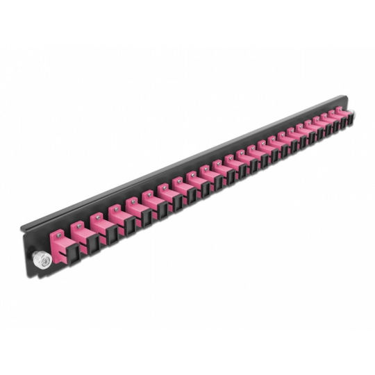 Delock Delock 43355 Front Patch Panel 19" Gehäuse 24 Anschlüsse Sc Simplex Om4 Violett