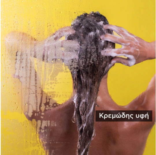 Apivita Frequent Use Chamomile & Honey Σαμπουάν Ενυδάτωσης για Όλους τους Τύπους Μαλλιών 500ml