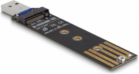 DeLock 64197 Μετατροπέας Combo για M.2 NVMe PCIe - USB 3.2 Μαύρο