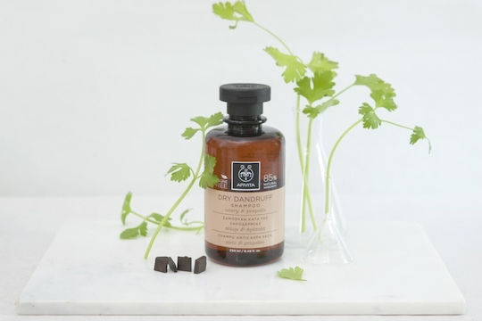 Apivita Dry Dandruff Celery & Propolis Шампоан Против Пърхот и Суха Кожа на Главата 250ml