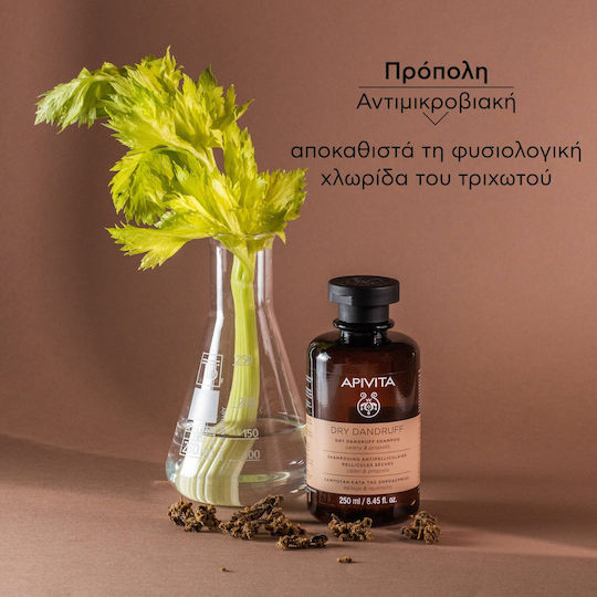 Apivita Dry Dandruff Celery & Propolis Шампоан Против Пърхот и Суха Кожа на Главата 250ml