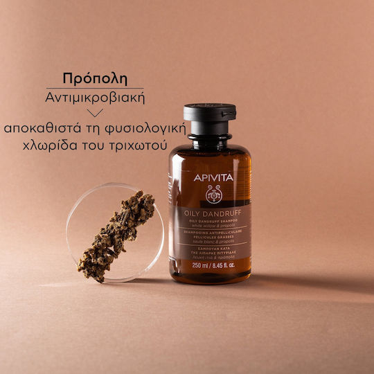 Apivita Oily Dandruff White Willow & Propolis Σαμπουάν κατά της Πιτυρίδας για Λιπαρά Μαλλιά 250ml