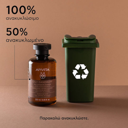 Apivita Oily Dandruff White Willow & Propolis Σαμπουάν κατά της Πιτυρίδας για Λιπαρά Μαλλιά 250ml