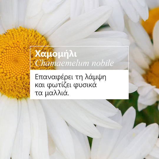 Klorane Camomille Blonde Σαμπουάν Διατήρησης Χρώματος για Βαμμένα Μαλλιά 400ml