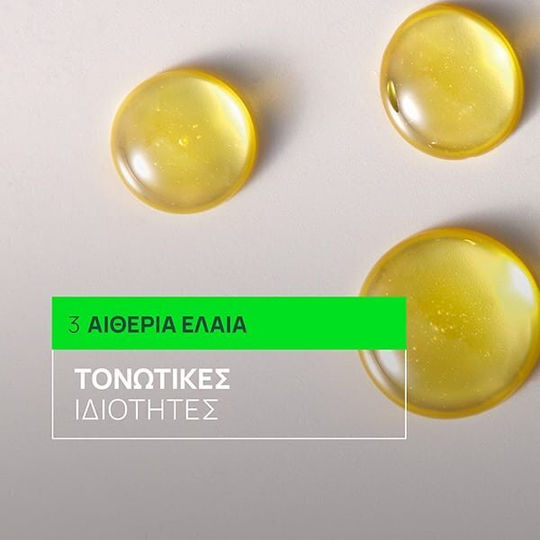Rene Furterer Triphasic Σαμπουάν κατά της Τριχόπτωσης 500ml