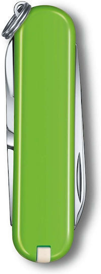 Victorinox Classic Sd Schweizer Armee-Messer 5 Werkzeuge Grünes