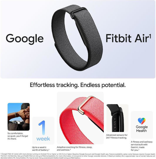 Google Fitbit Air Berry