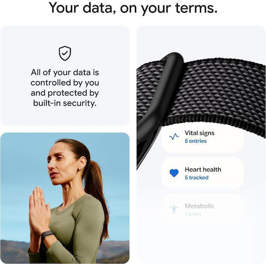 Google Fitbit Air Berry