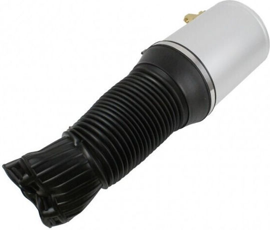 Loro Αερόσουστα Ανάρτησης Audi A8 O-ring X2 Front Links