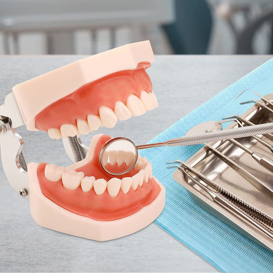 Manechin De Antrenament Medical
