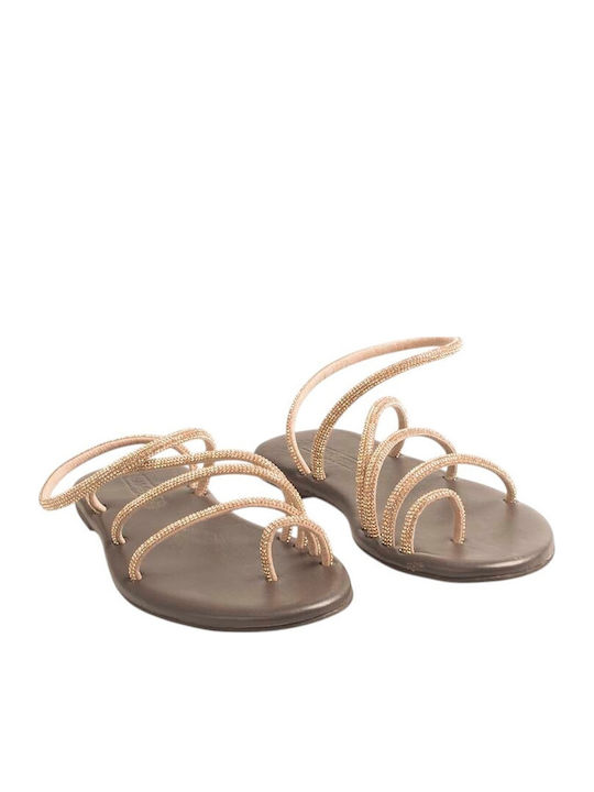 Women's Flat Sandals Brown
