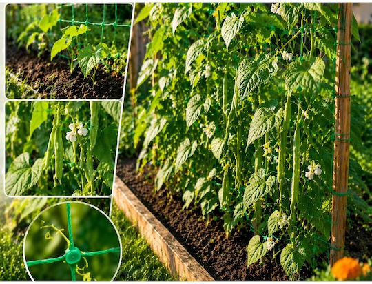 Climbing Support Net For Plants 2x5m Perfect Support