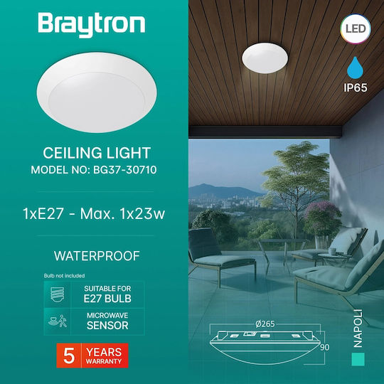 Braytron Стенен Външен Плафон E27 IP65
