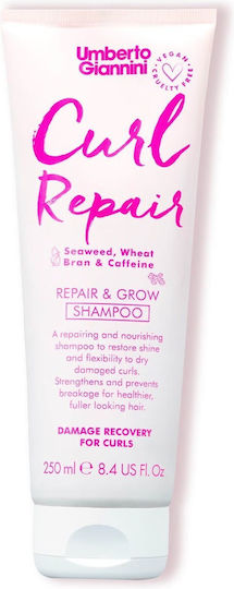Umberto Giannini Curl Repair Shampoos Glanz für Lockige Haare 250ml