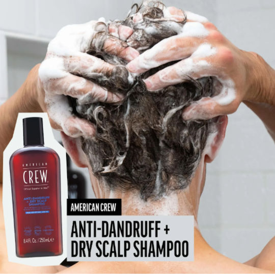 American Crew Shampoos Against Dandruff & Dry Scalp for All Hair Types 250ml