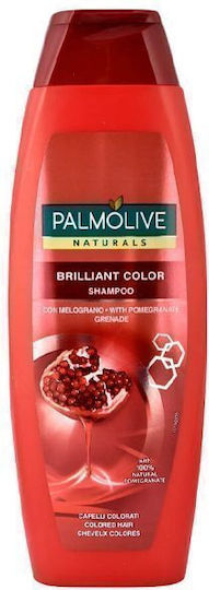 Palmolive Шампоан за Възстановяване/Подхранване и Запазване на Цвета за Оцветена Коса 400ml