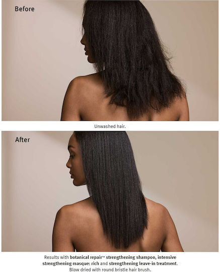 Aveda Botanical Repair Σαμπουάν Αναδόμησης/Θρέψης & Ενυδάτωσης για Εύθραυστα Μαλλιά 50ml
