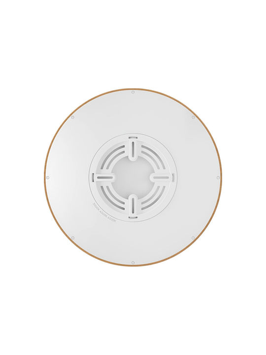 Braytron Jade Ceiling Mount Light 30cm
