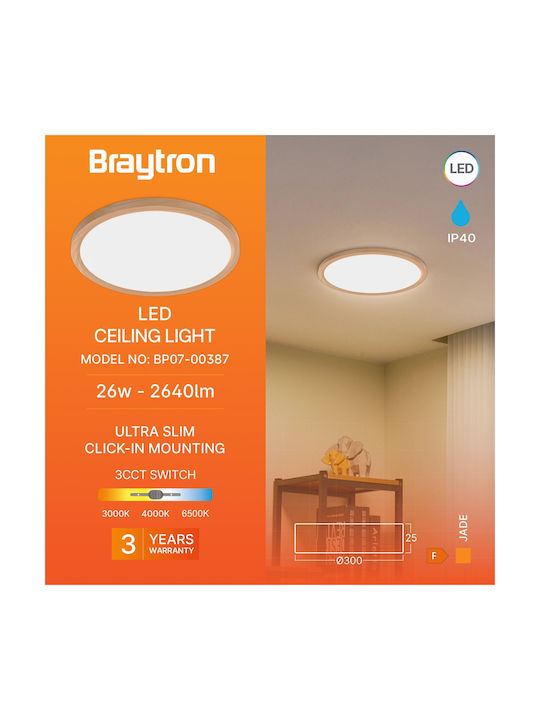 Braytron Jade Ceiling Mount Light 30cm