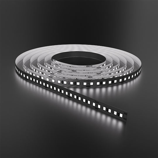 Braytron LED Strip 24V Cold White Light