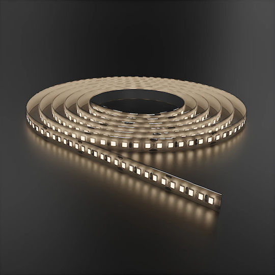 Braytron LED-Streifen 24V Natürliches Weiß Licht Typ SMD2835