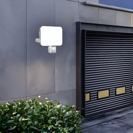 Braytron Στεγανός Προβολέας LED 30W Ρυθμιζόμενο Λευκό IP65