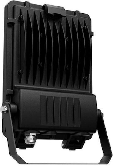 Aca Στεγανός Προβολέας LED 50W Ψυχρό Λευκό 6000K IP66
