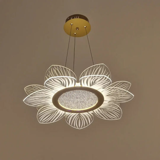 Deckenleuchte Gold mit Integrierte LED