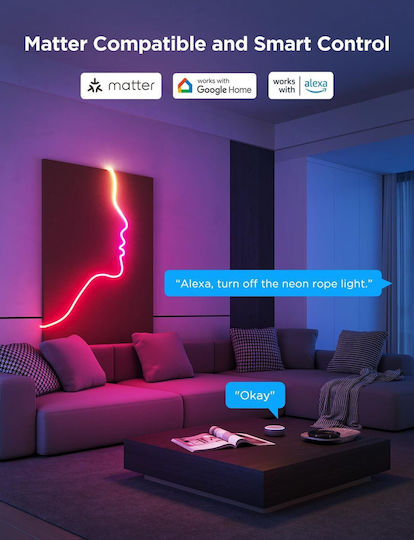 Govee Smart LED Strip Neon Rope Light 2 Wi-Fi RGBIC Light 5m Neon Flex