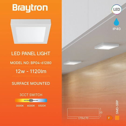 Braytron LED Panel