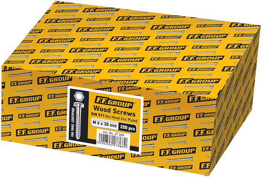 FFG Coach Screw DIN 571 with Length 10mm