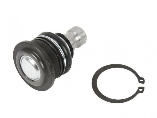 Loro Suspension for Renault Megane Scenic Clio Dacia Logan