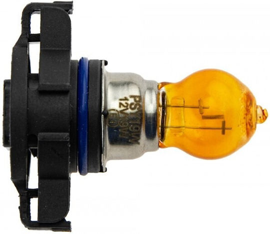 NTY Car Lamps PSY19W Orange 12V 19W 10pcs