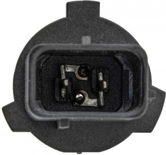 NTY Lămpi Auto P13W 12V 13W 10 Bucăți