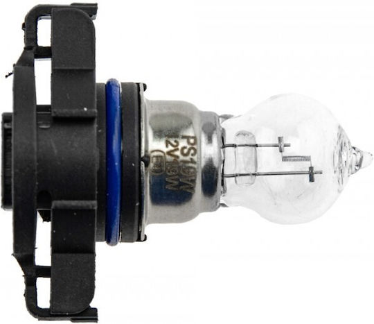NTY Car Lamps PS19W 12V 19W 10 Pieces