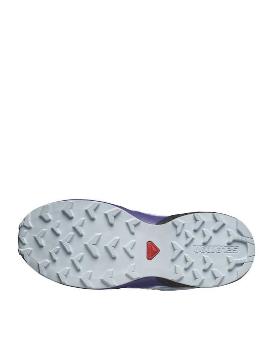 Salomon Salomon
