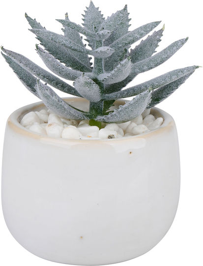 Artificial Potted Plant Φ6x10 Articasa 871125233552 Random Design Selection Φ6x10 Ceramic