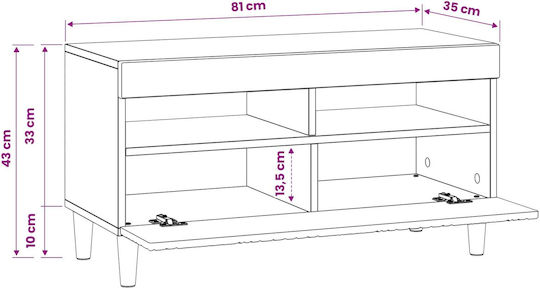 TV-Ständer mit LED-Beleuchtung Eiche M81xT35xH43cm