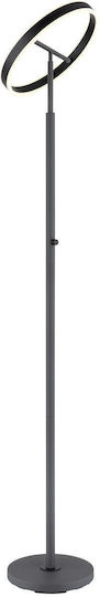 Globo Lighting Подова лампа Сив