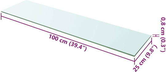 Wandregal Transparent 100x25x0.8cm