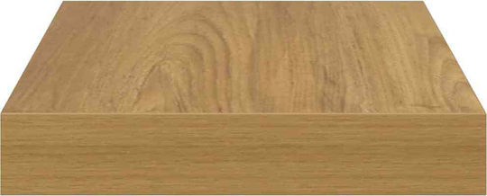 Brown Wall Shelves 2 Pieces 23x23.5x4cm