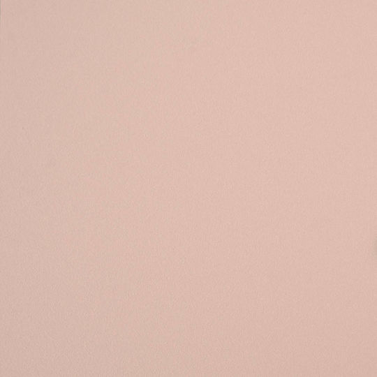 Pink Wall Shelves 2 Pieces 60x9x2.5cm
