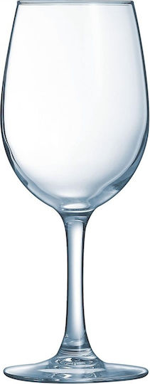 Arcoroc Glas für Weißwein aus Glas Kelch 360ml
