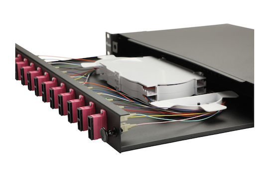 Equip Patch Panel Optisch 12 Steckdosen Sc-duplex Om4 1u Vollständig Schwarz