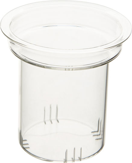 Ceainic cu Filtru din Sticlă Transparentă 800ml