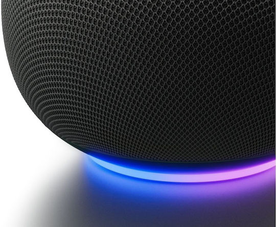 Google Smart Hub Bluetooth / Faden Kompatibel mit Google Home & Materie