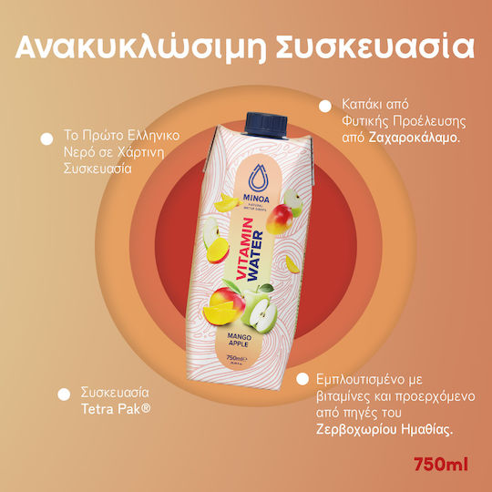 Minoa Water Vitamina Apă 12x0.75lt