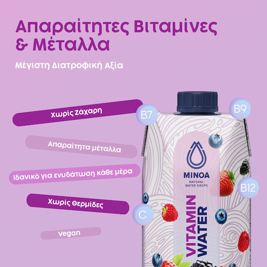 Minoa Water Paper Vitamin Water 12x0.75lt