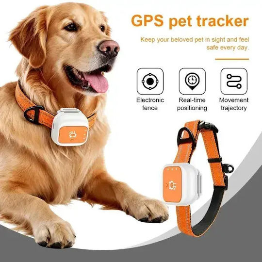 Elektrisches Hundetraining & Schockhalsband GPS Hund